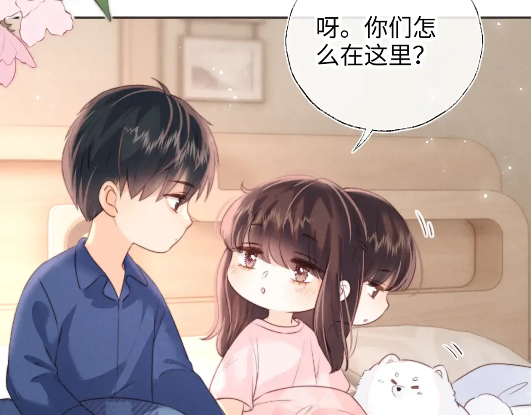 第264页