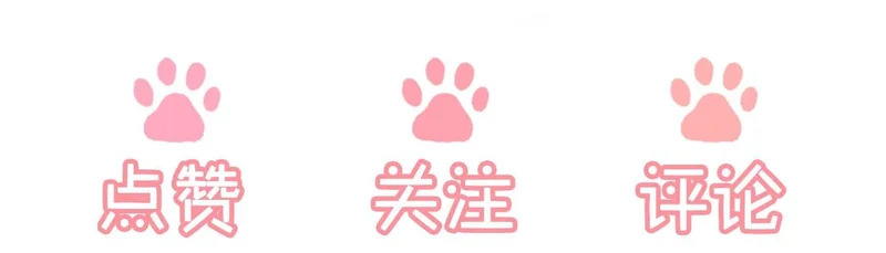 第369页
