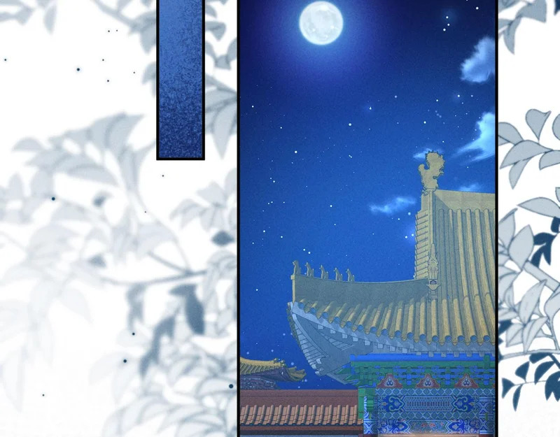 第216页