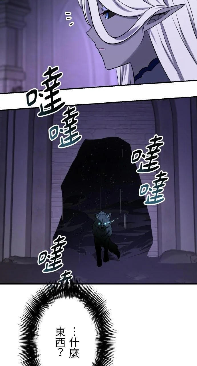 第219页
