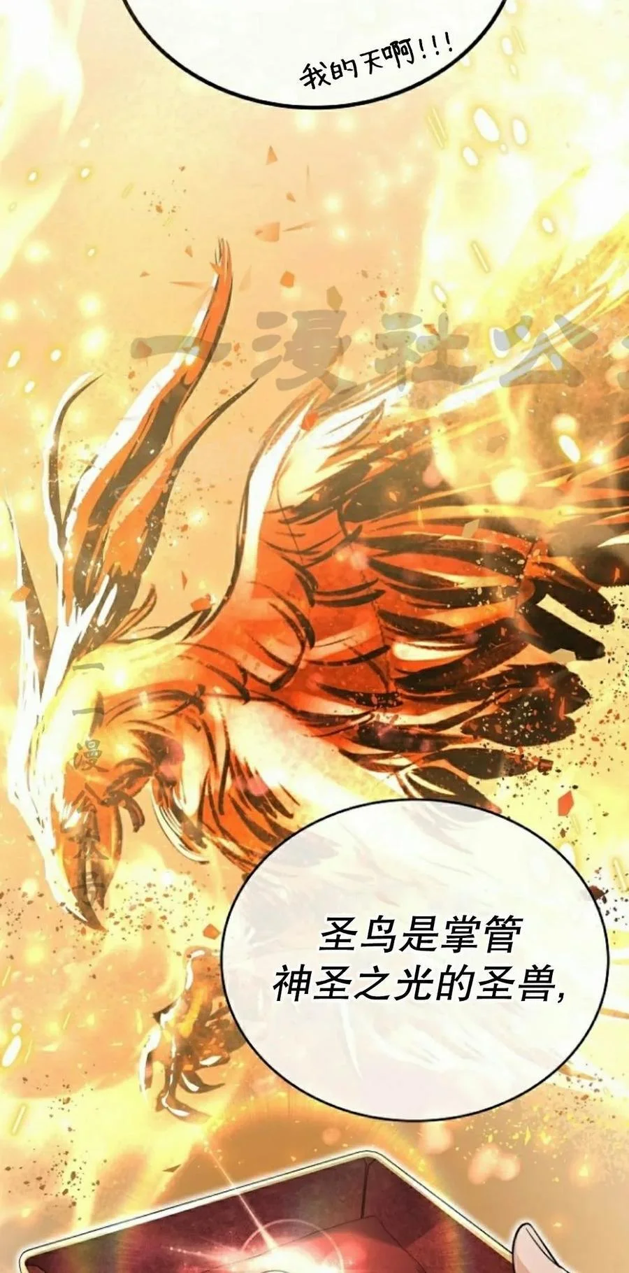 第249页