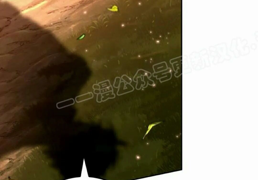 第504页