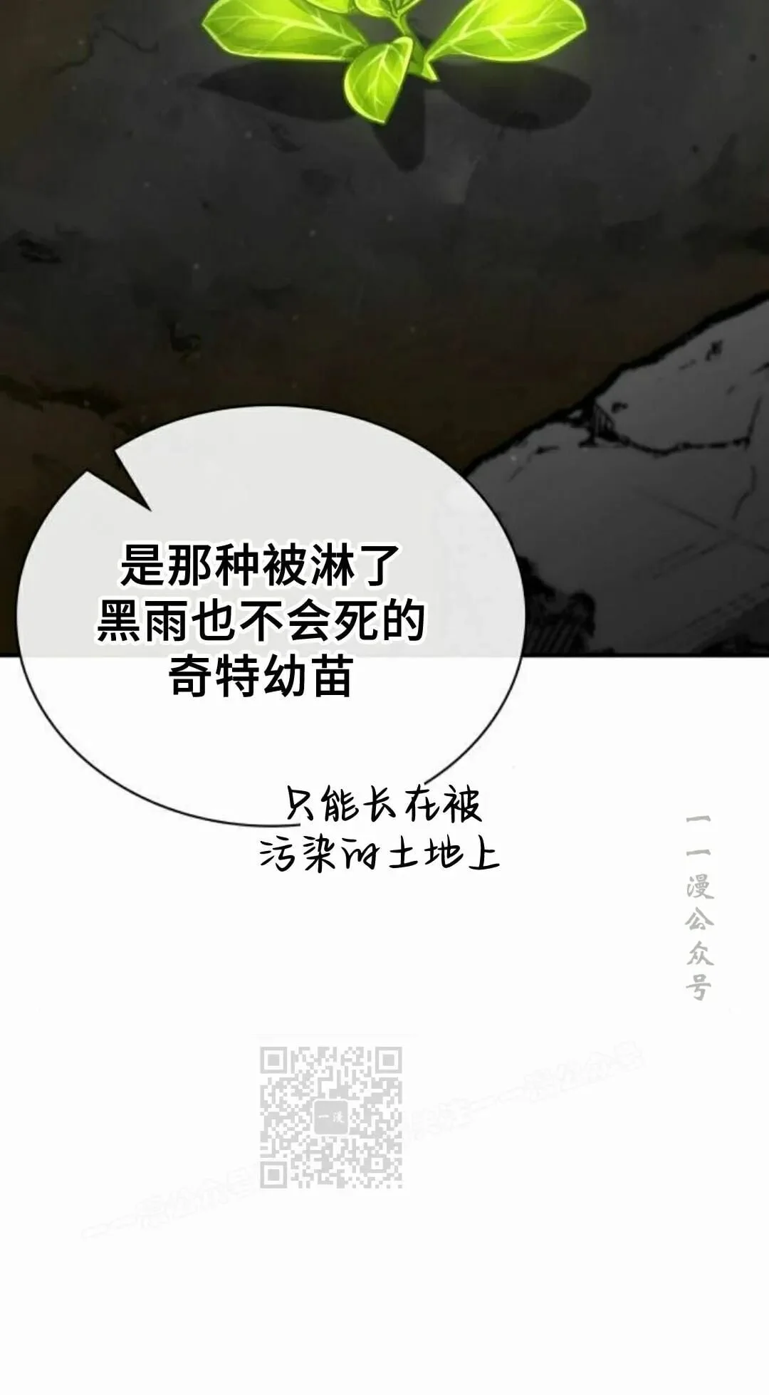 第276页