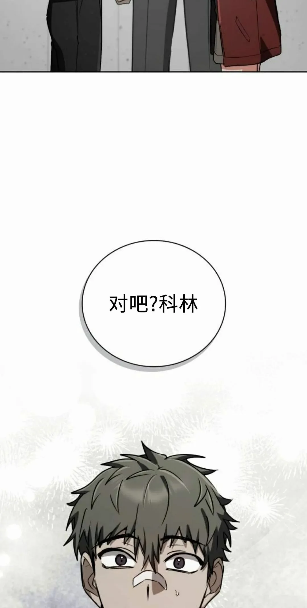 第231页