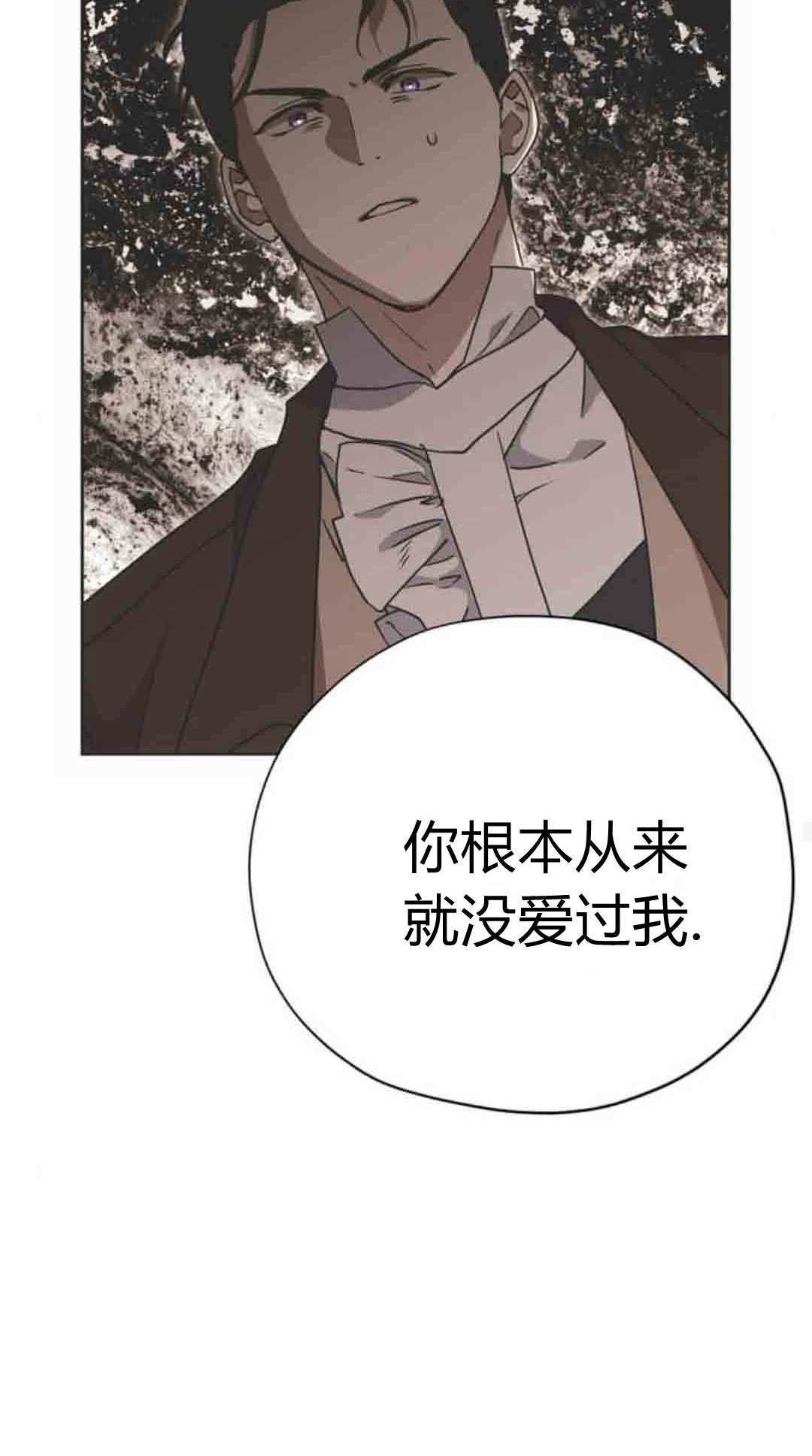 第219页