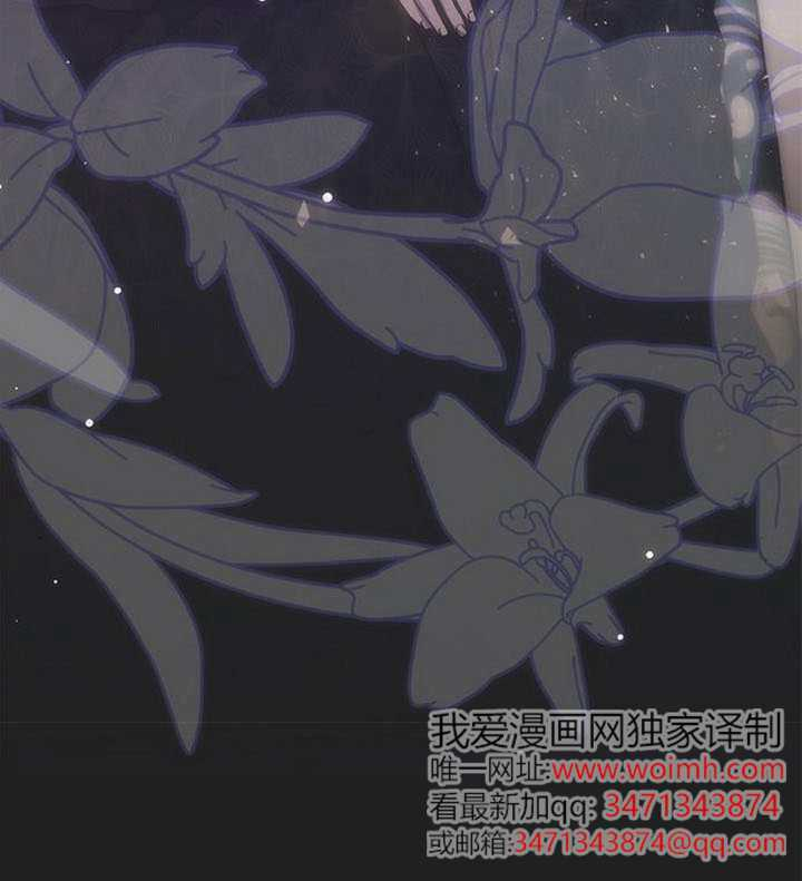 第441页