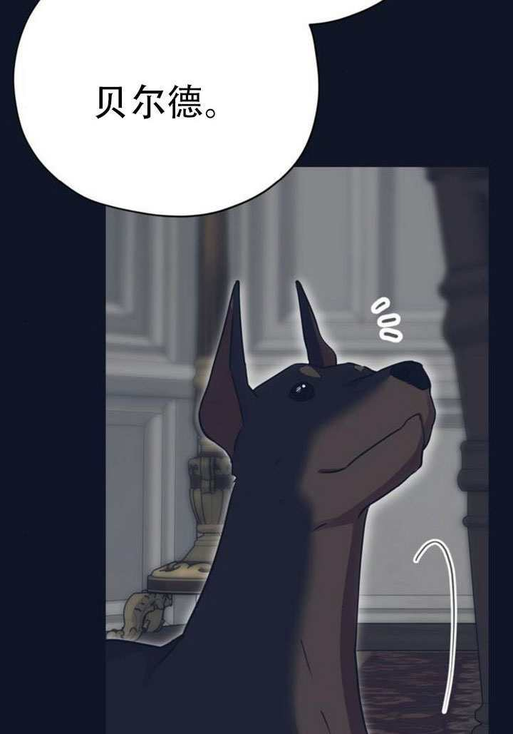 第243页