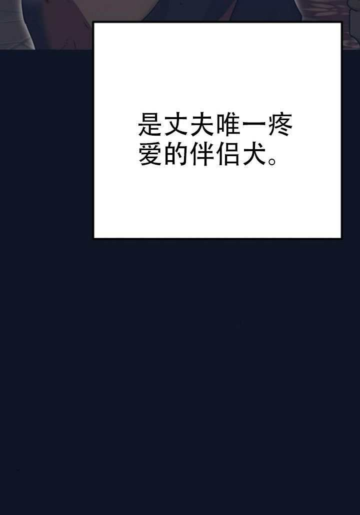 第279页