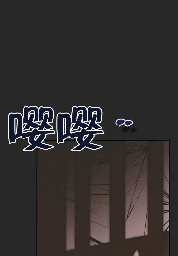 第315页
