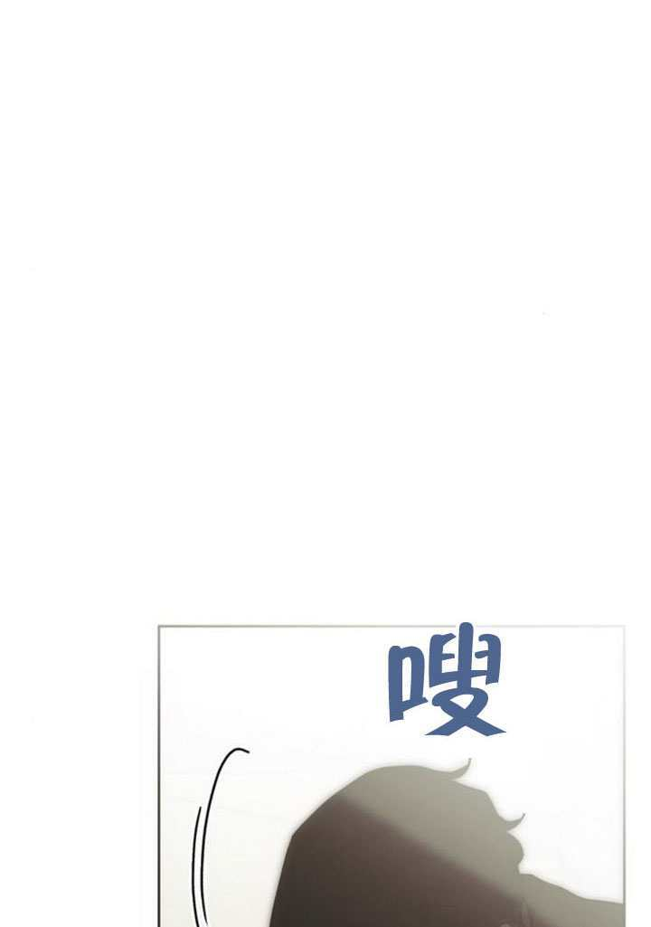 第333页