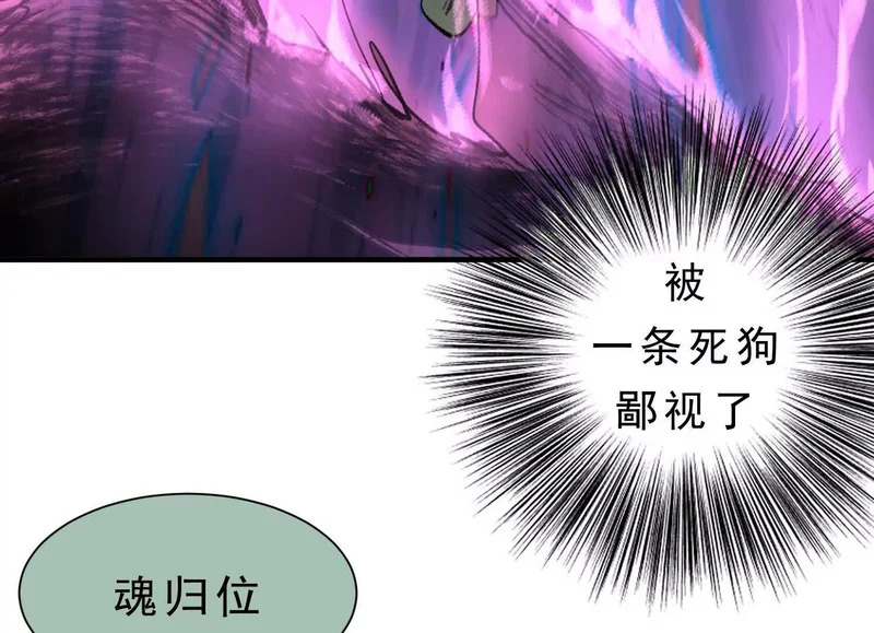 第255页