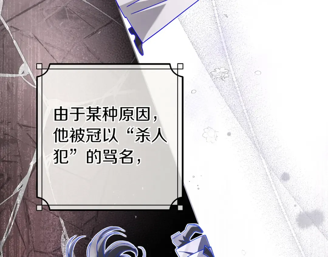 第219页