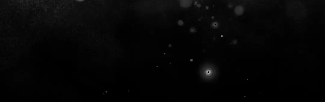第339页
