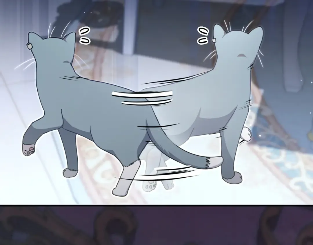 第519页