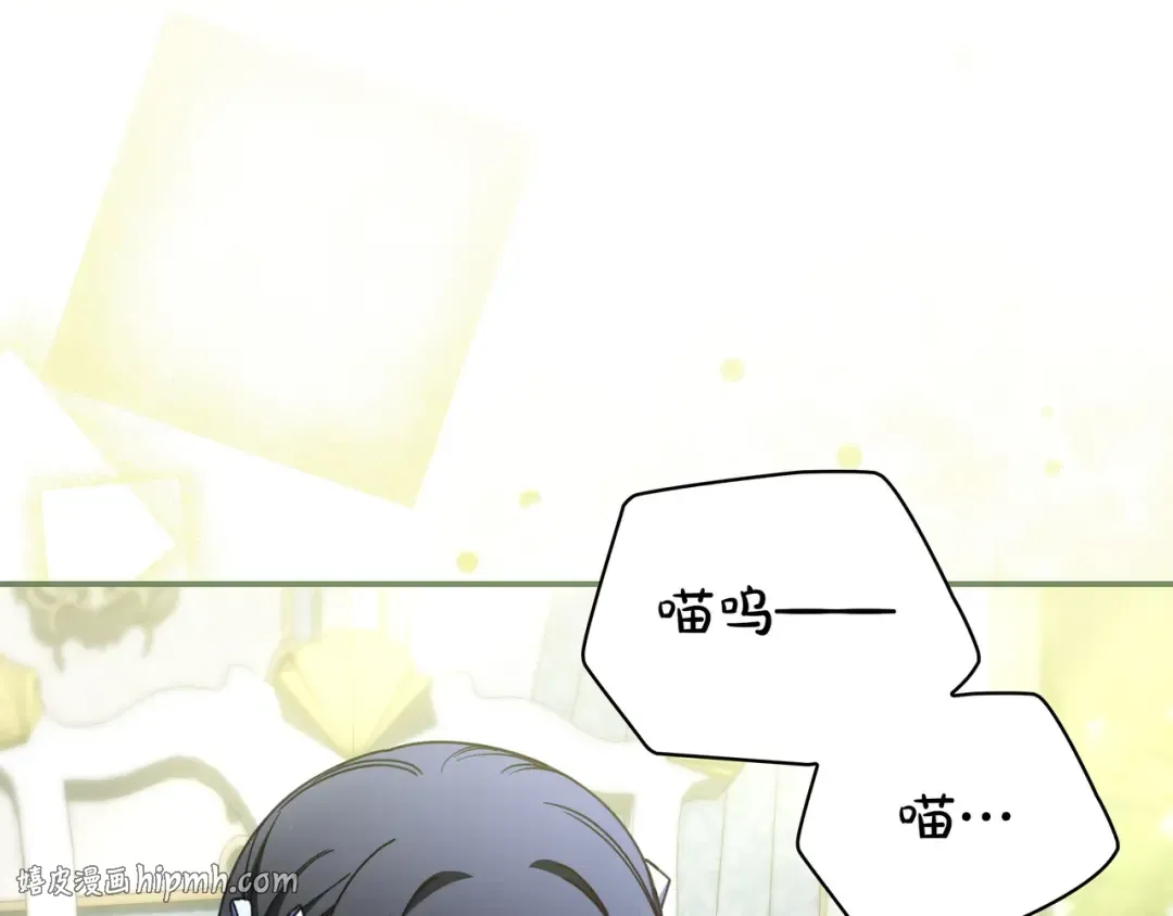 第333页