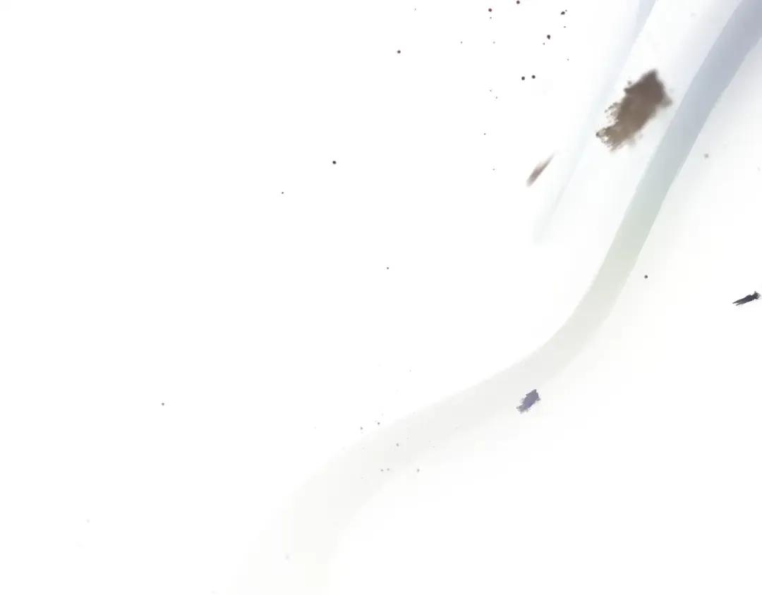 第219页