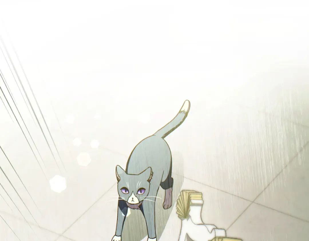 第267页