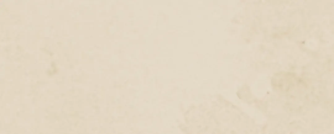 第255页