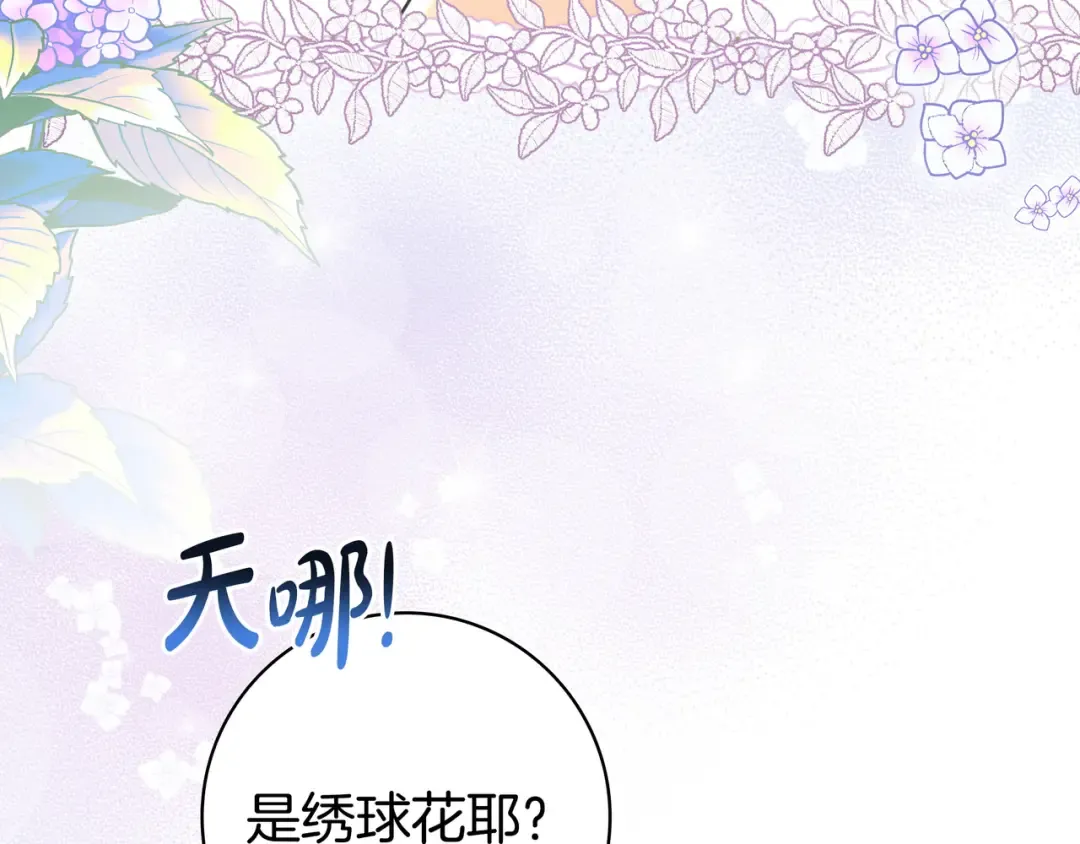 第342页