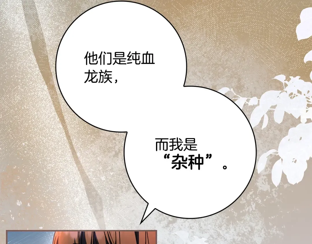 第342页
