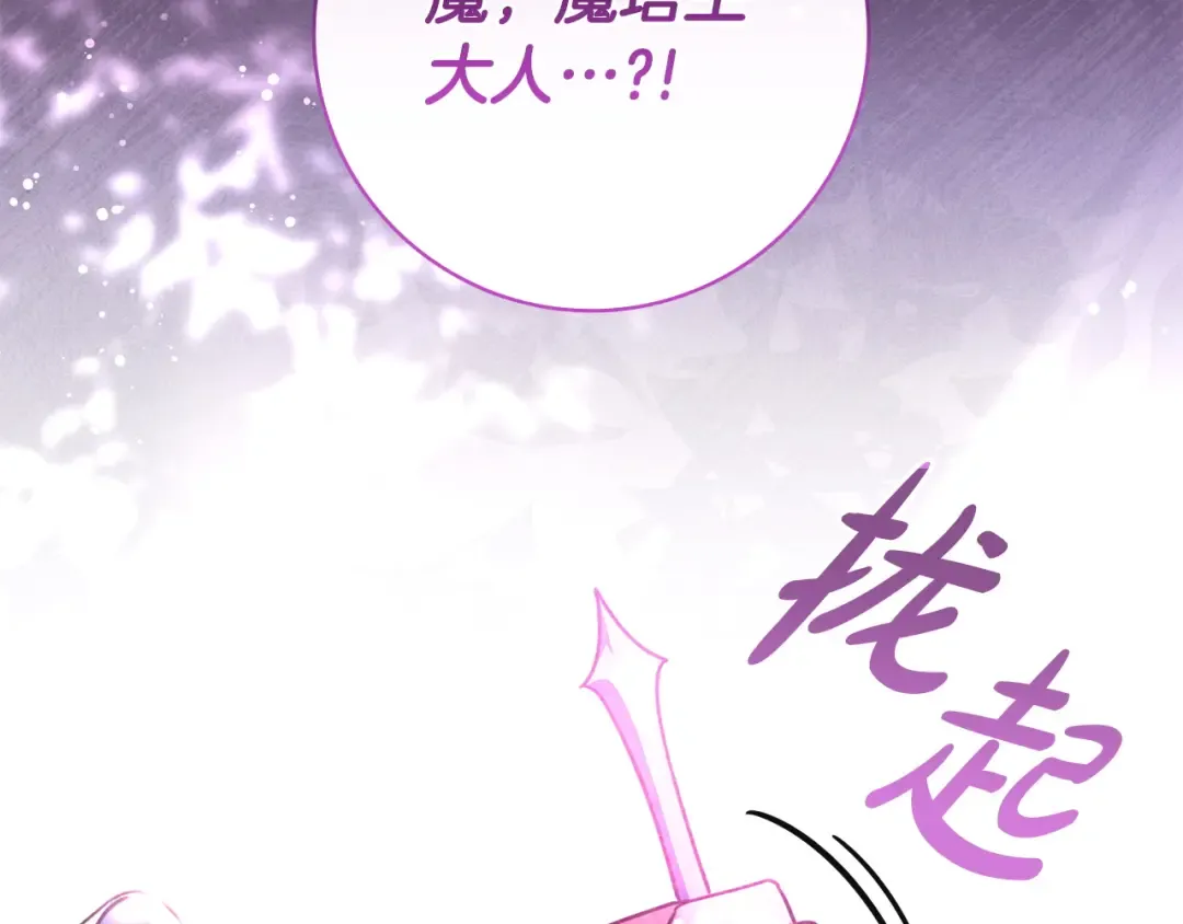 第504页