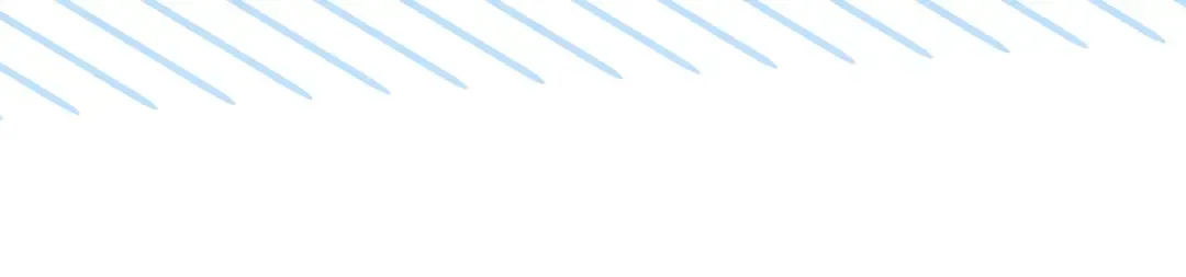 第333页
