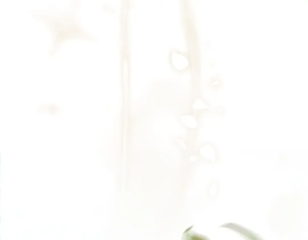 第468页