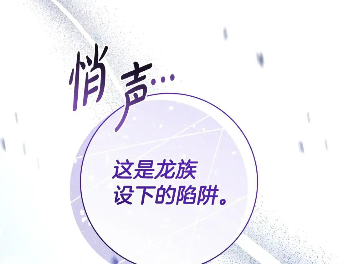 第510页