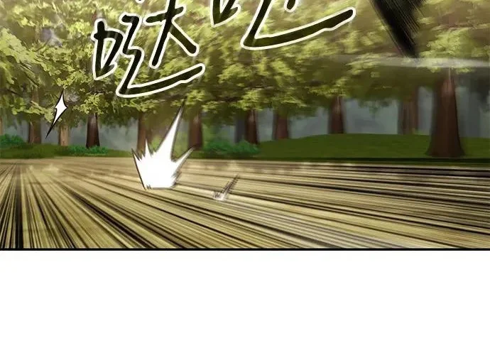 第255页