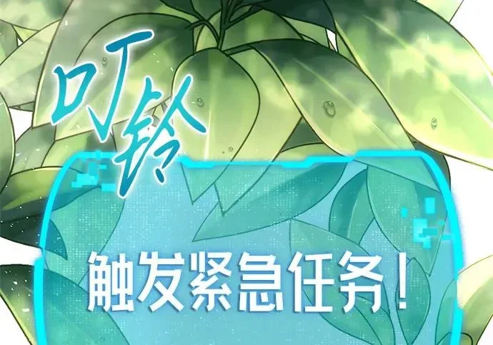 第294页