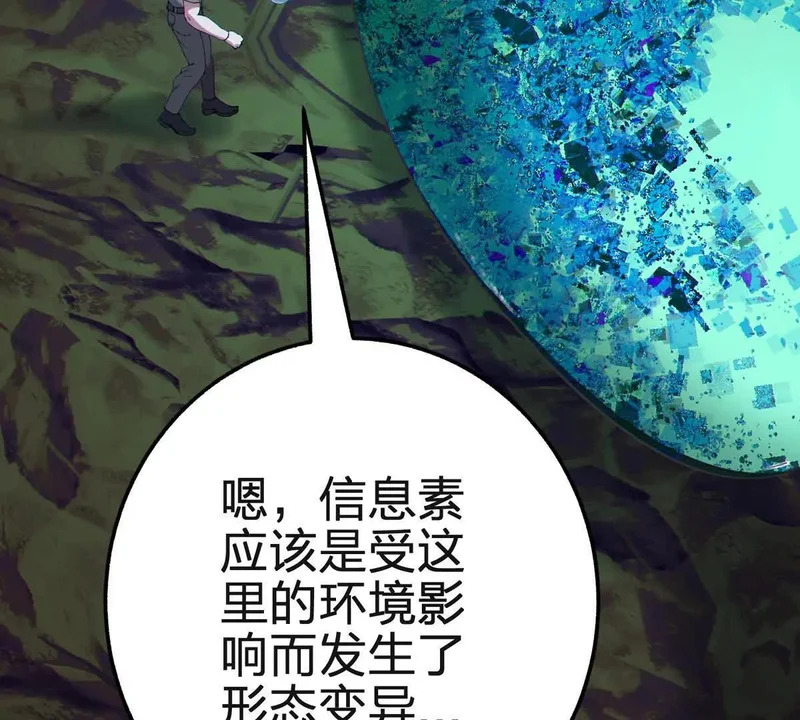 第216页