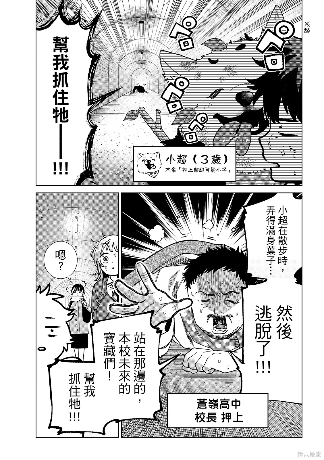 第54页