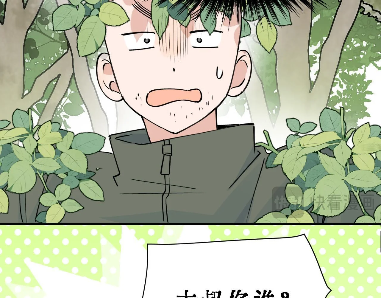 第264页
