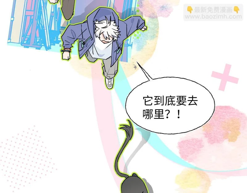 第207页