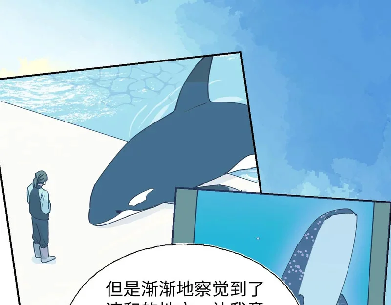 第288页
