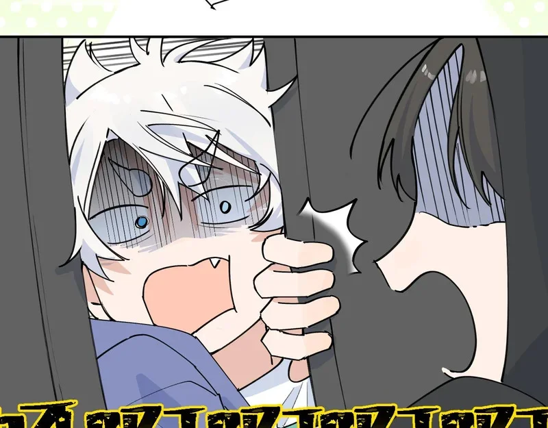 第207页