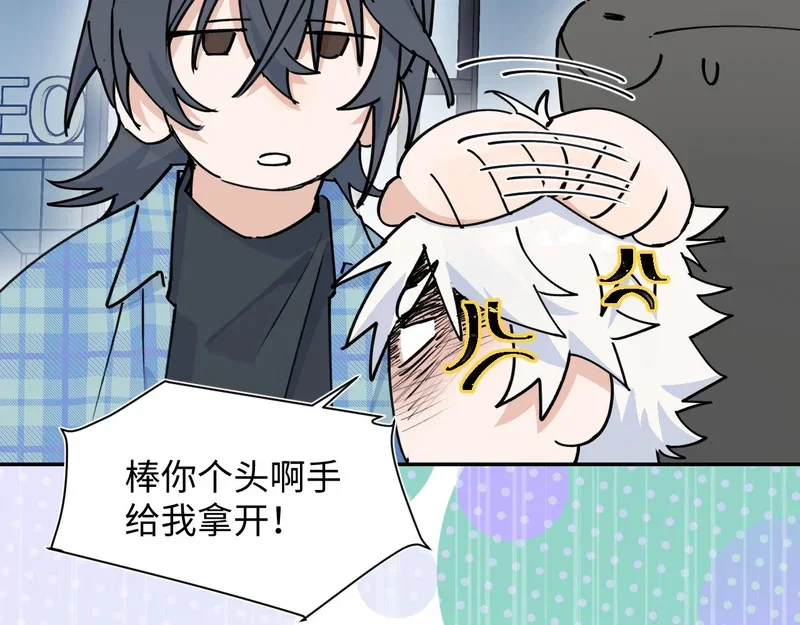 第207页