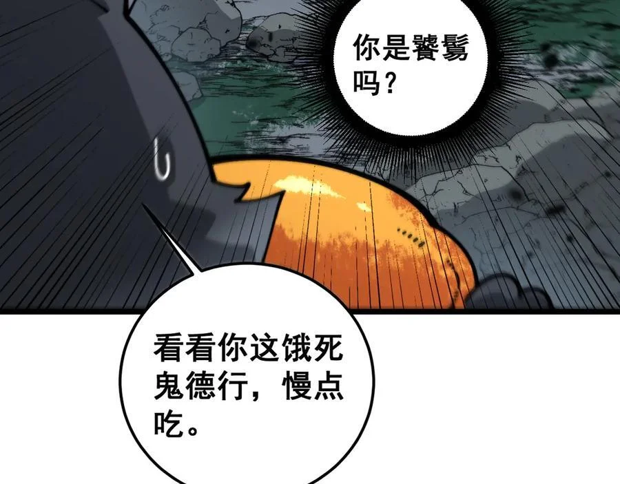 第231页