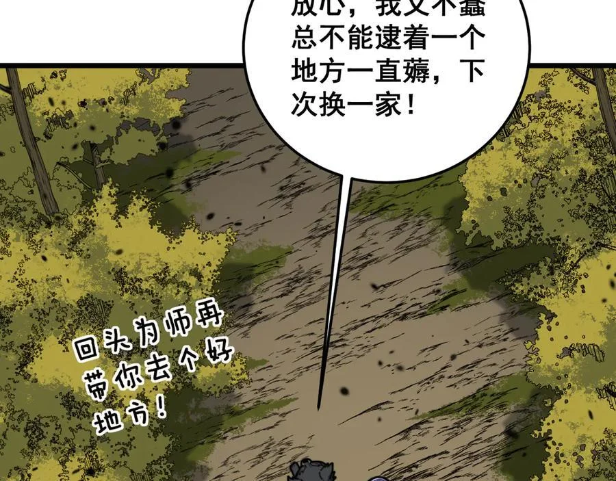 第339页