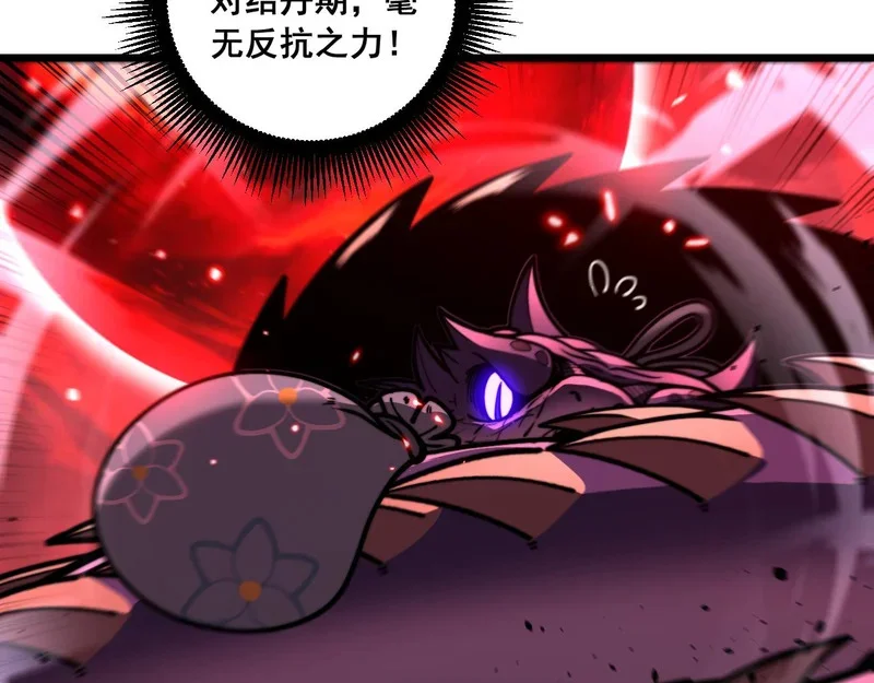 第222页