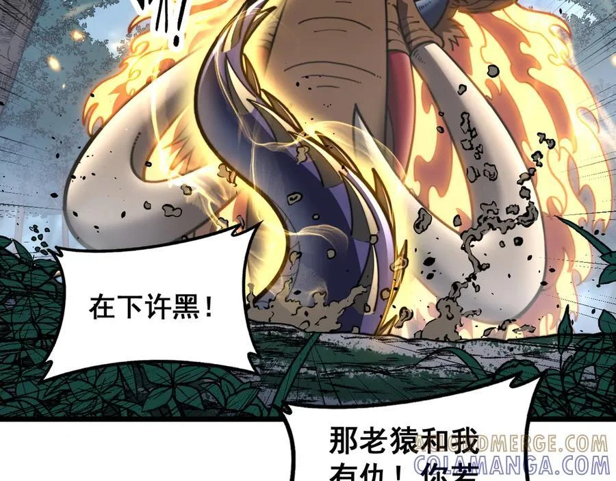 第264页