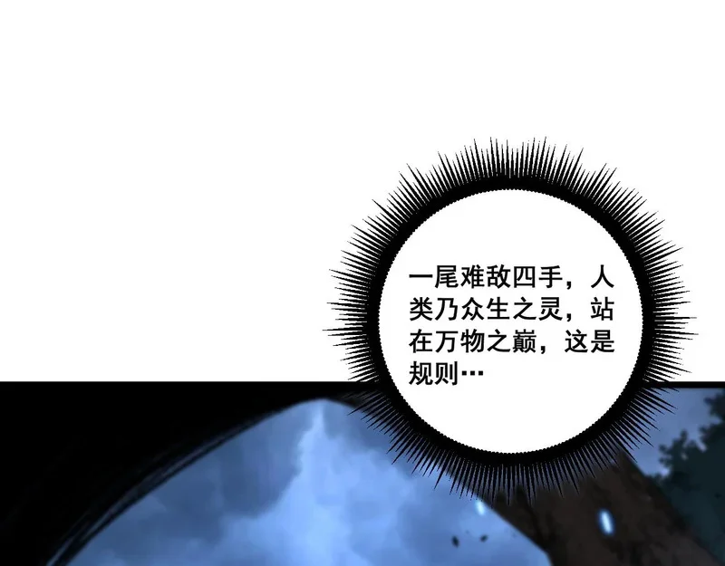 第291页
