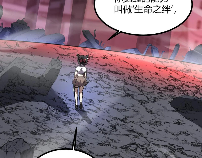 第240页