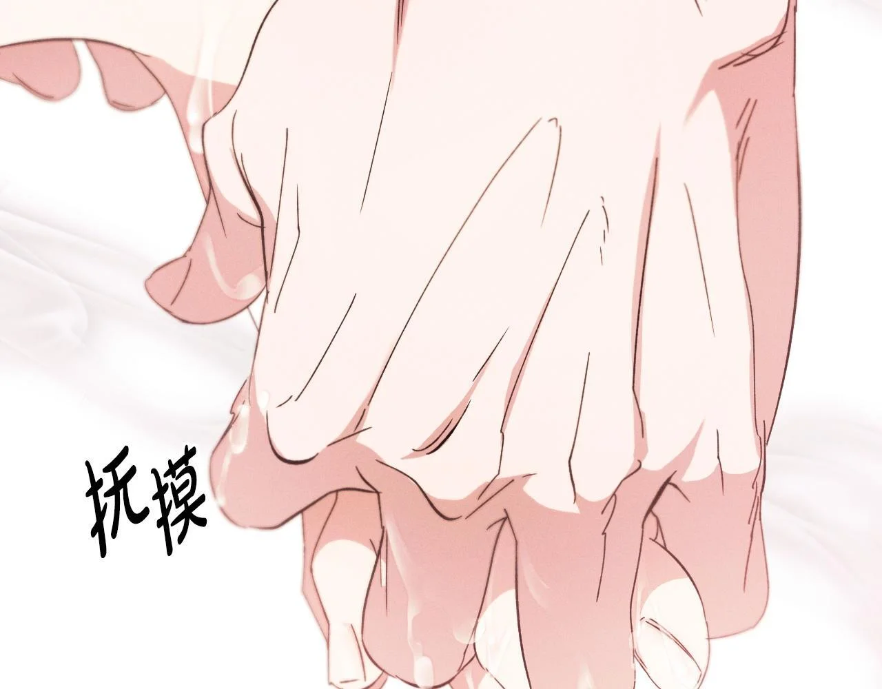 第504页