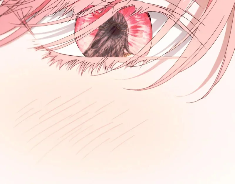 第453页