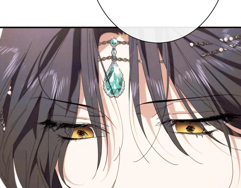 第504页