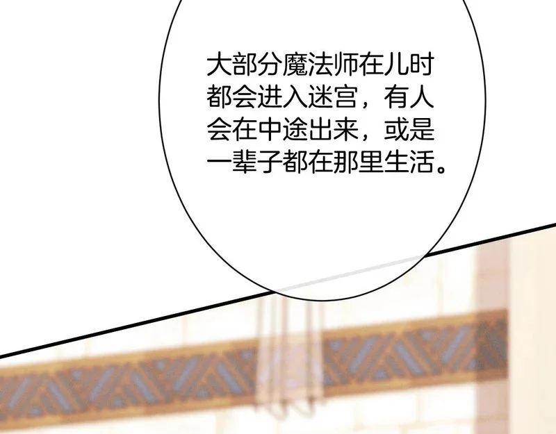 第255页