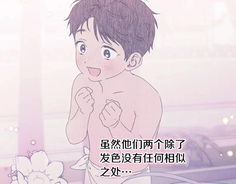 第240页