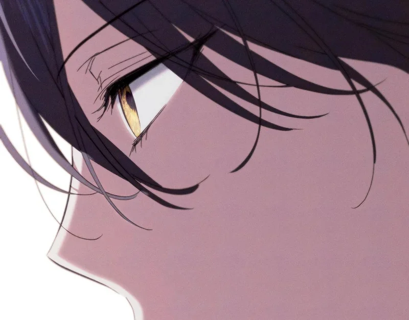 第528页