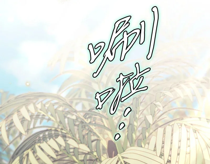 第255页
